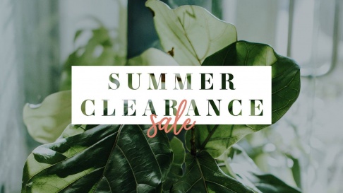 Mainstream Boutique Milwaukee Annual Summer Clearance Sale
